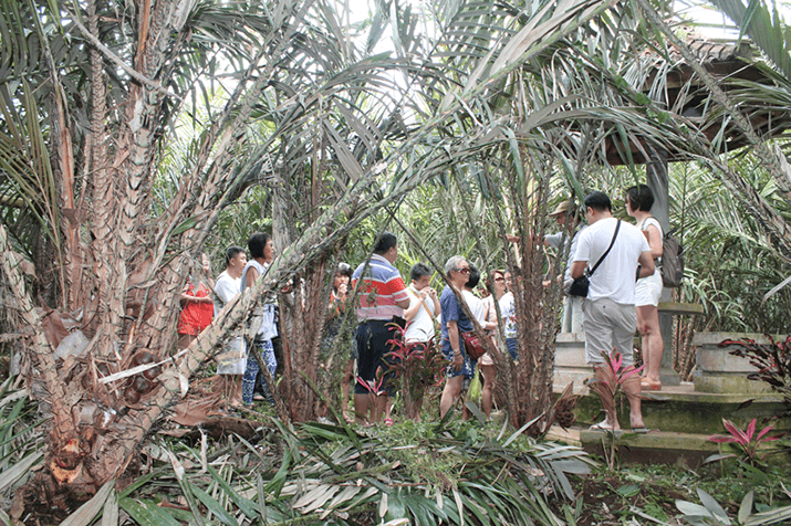 Agro Salak Sibetan