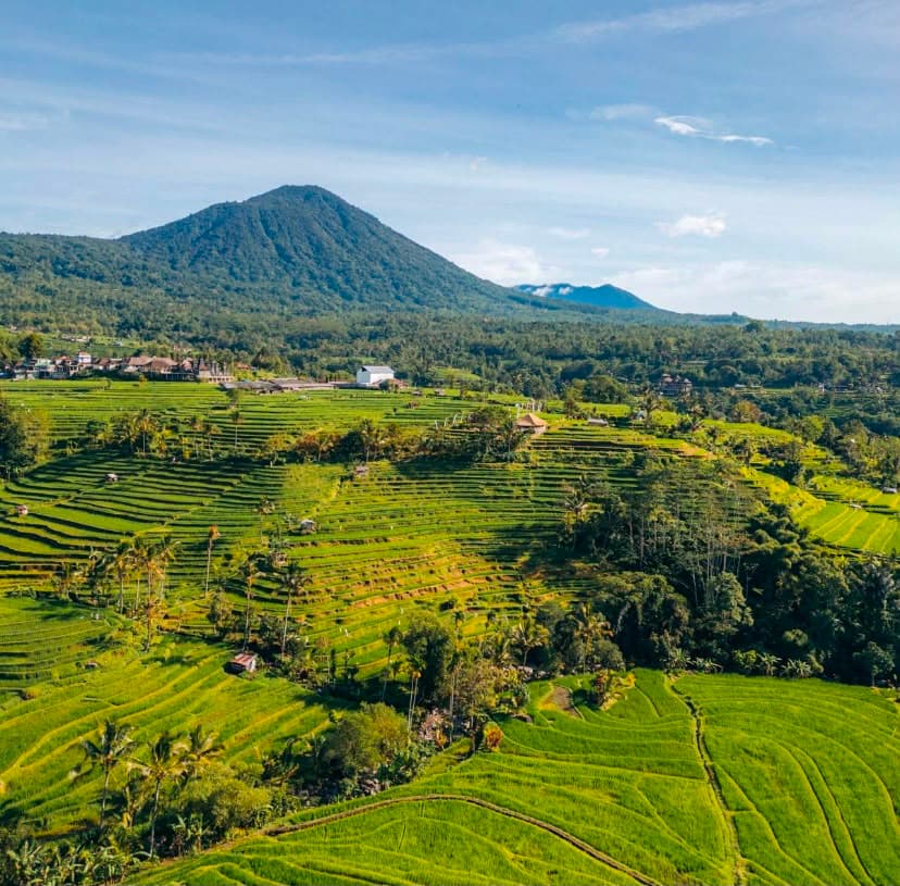 Jatiluwih Rice Terrace