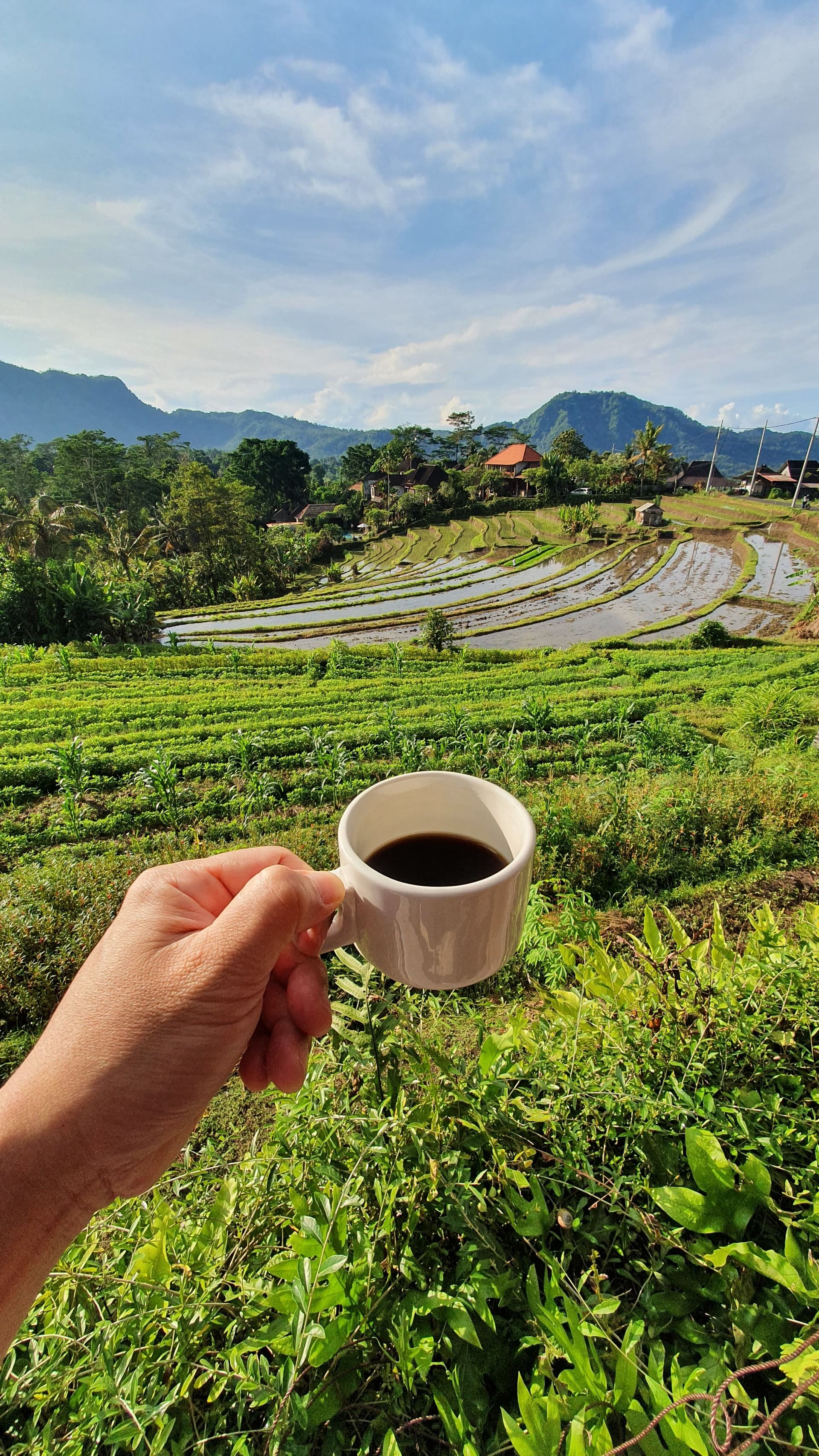 Jatiluwih UNESCO Rice Terrace, Bali
