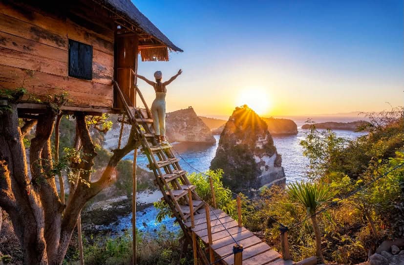 Rumah Pohon Tree House